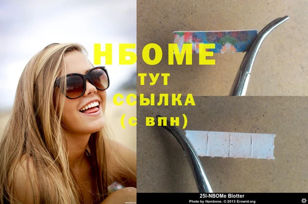 гашик Сосновый Бор