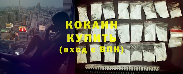 гашик Сосновый Бор